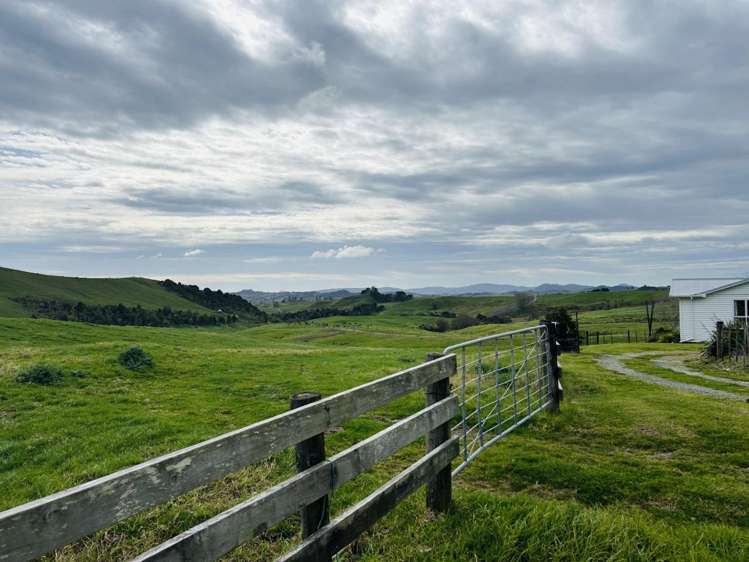 896c Whakapirau Road Whakapirau_2