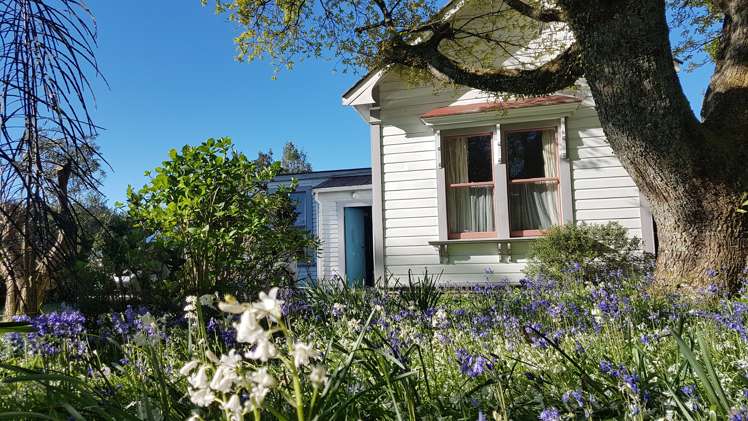 4 Carters Road Eketahuna_9