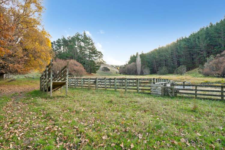 5 Manawa Road Tinui_14