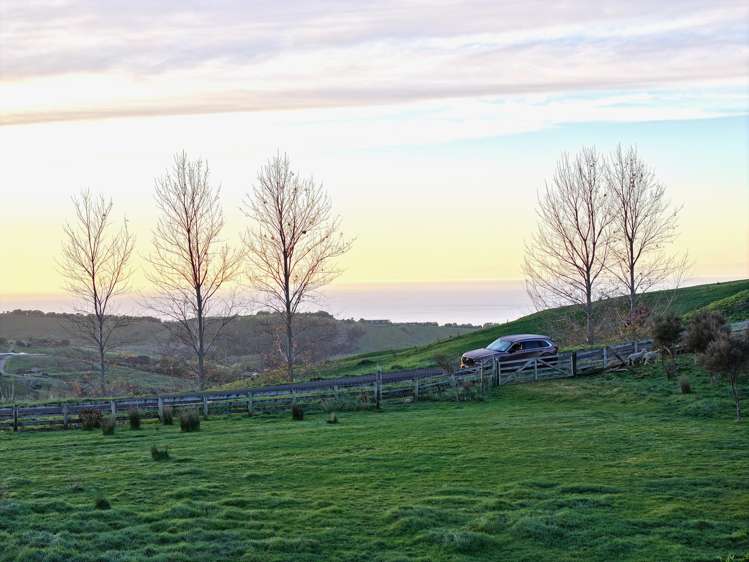 Lot 6 DP 409779 Gaddums Hill Road Outer Kaiti_8