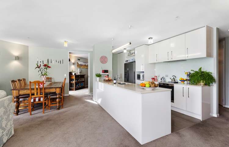 2b/22 Telford Terrace Oriental Bay_7