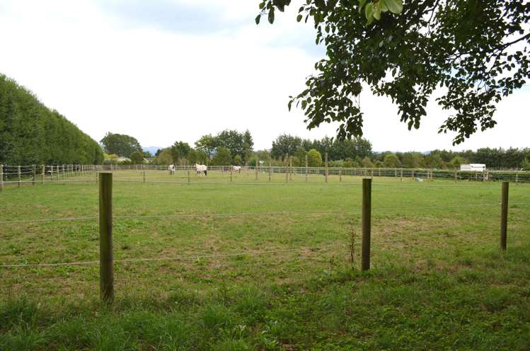 64 Bridge St Onga Onga_19