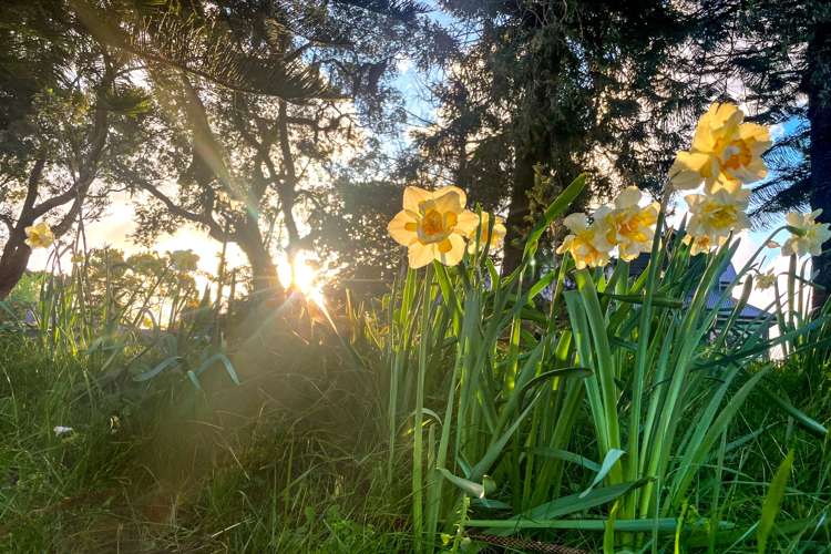 62L Grace Road Tauranga South_30