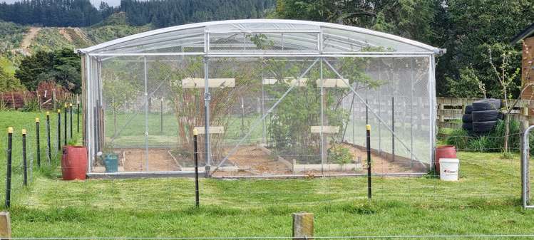 233 North Manakau Road Manakau_23