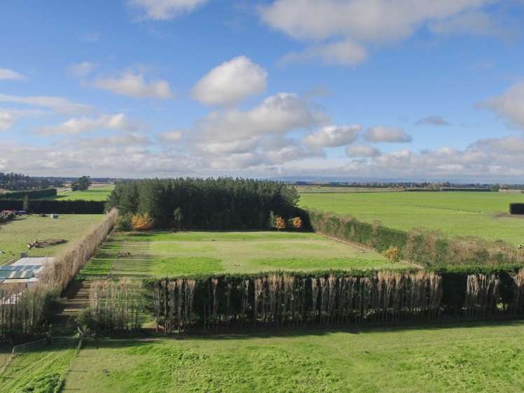 5 Leeston Dunsandel Road Dunsandel_18