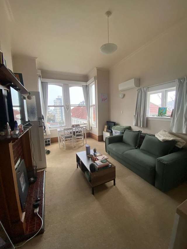 5A Boston Terrace Aro Valley_2