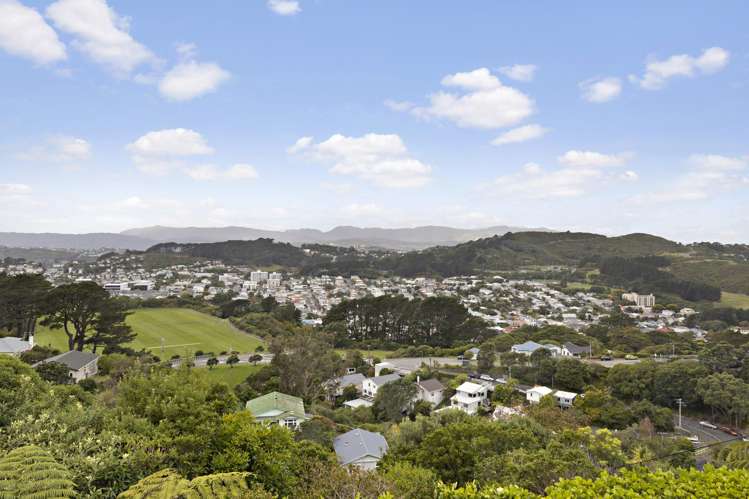 80 Farnham Street Mornington_18