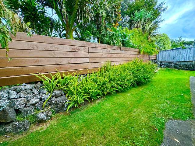 3/45a Grotto Street Onehunga_1