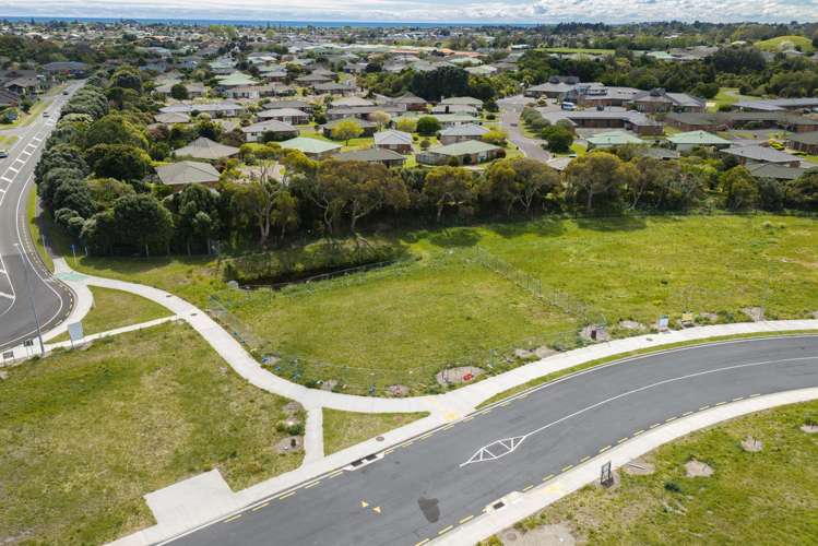 38 Bradford Street Paraparaumu_3