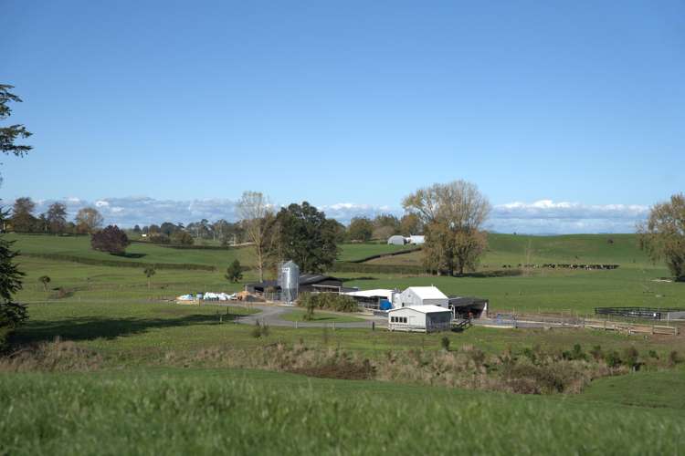 375 Waring Road Taupiri_7