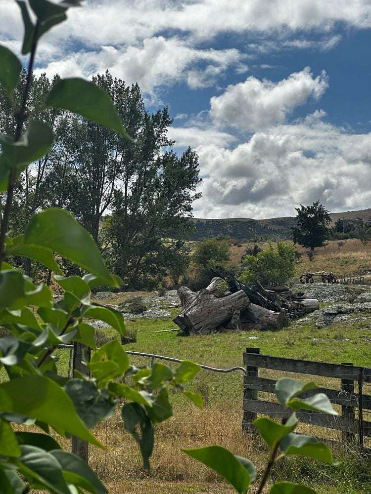 1245 Teviot Road Teviot_14