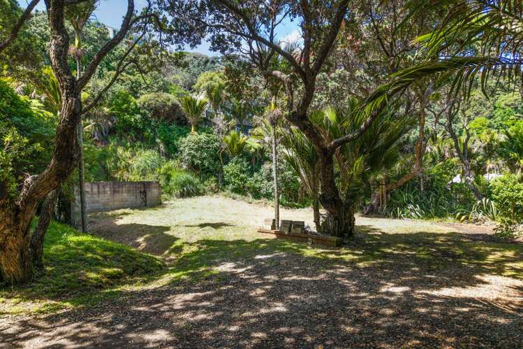 48 Beach Valley Road Piha_3