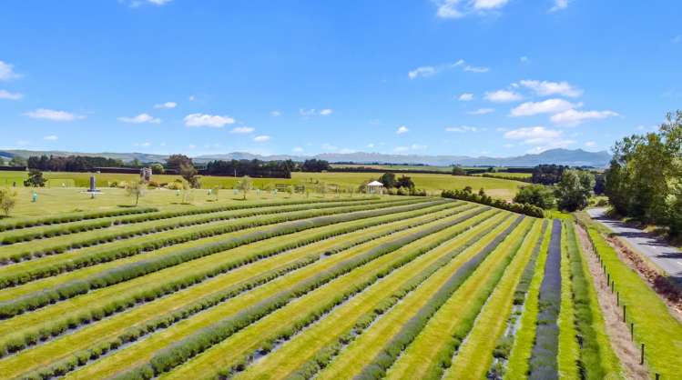 1463 Taiko Road Cave_20