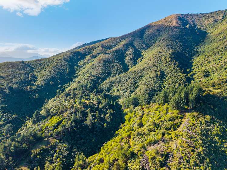 165 Boons Valley Road Picton_47