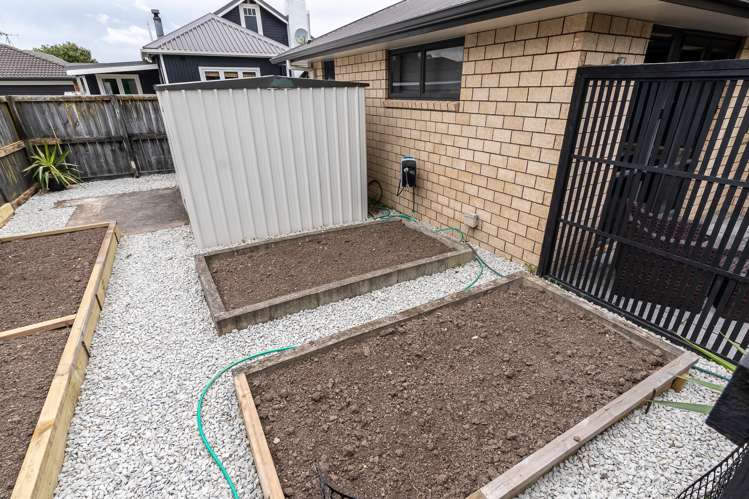 50 Cate Road Rototuna North_17