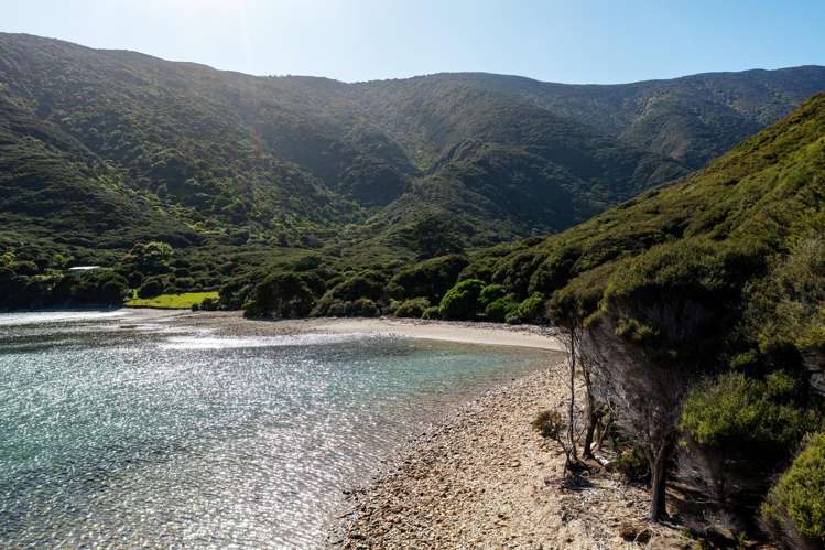 Lot 4 + 5 Te Aroha Bay, Otanerau Bay Marlborough Sounds_13