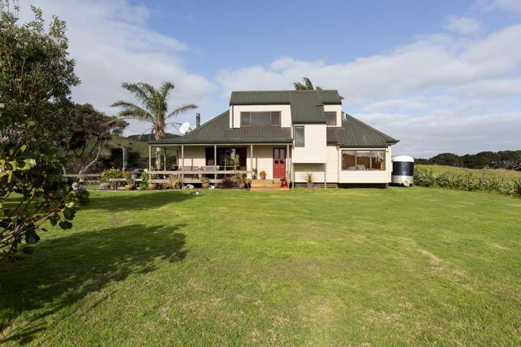 487 Wilson Road, South Head Helensville_6