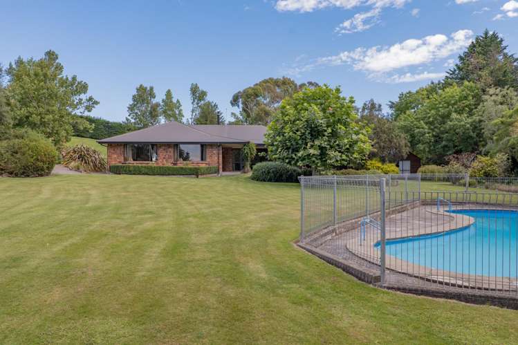 299 Domett Road Domett_29