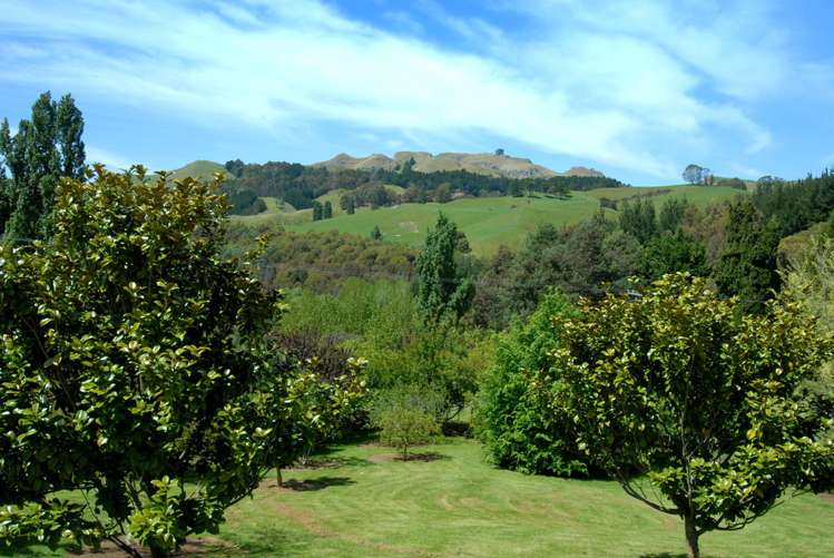 146 Kopanga Road Havelock North_15