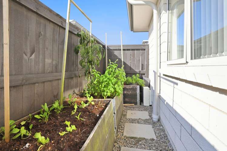 5 Lance Way Papamoa_19