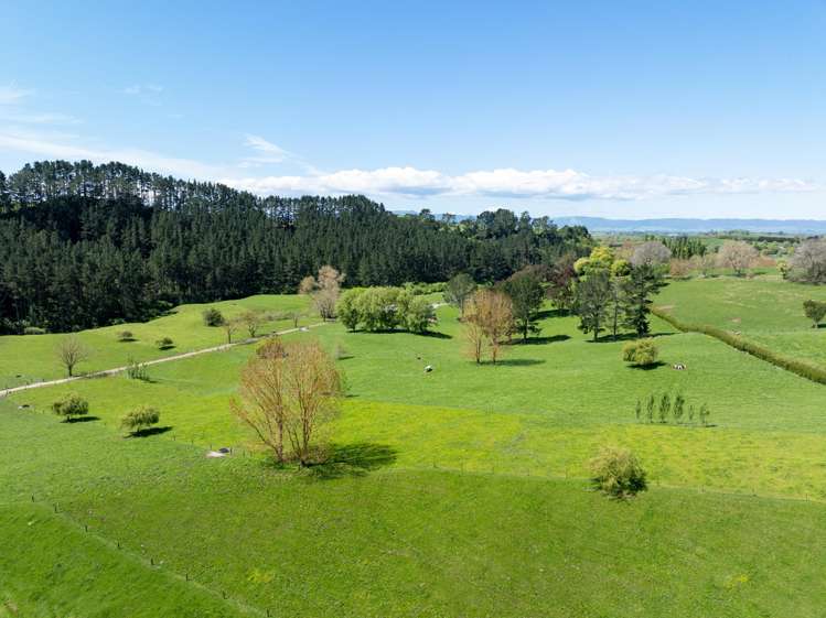 192 Taotaoroa Road Karapiro_14