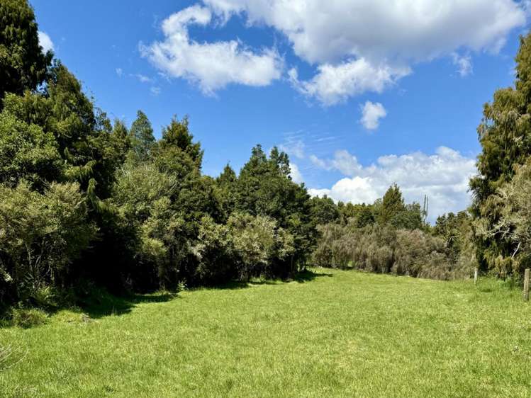 205 Mangaturuturu East Road National Park_13