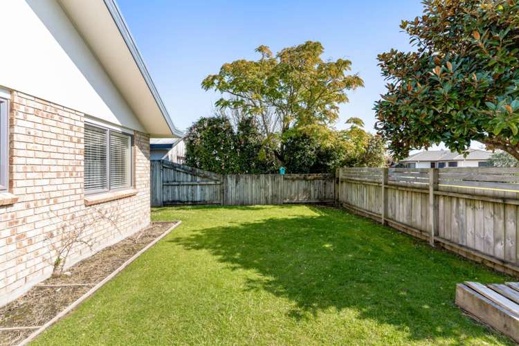 31 Solomon Street Brookfield_14