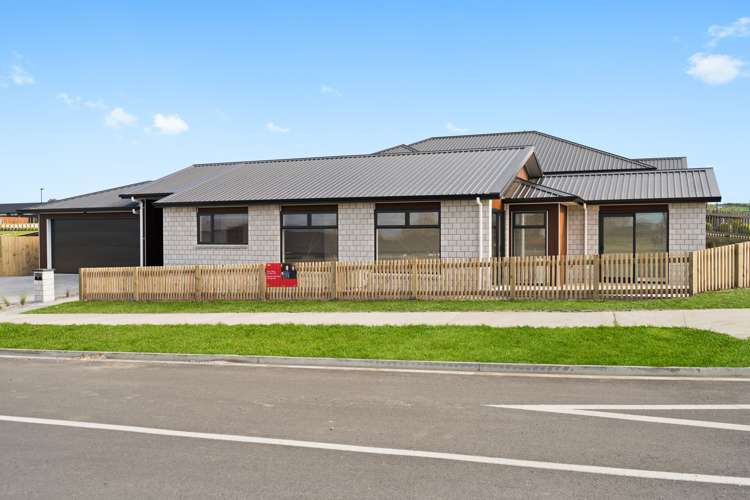 11 Barberry Drive Morrinsville_20