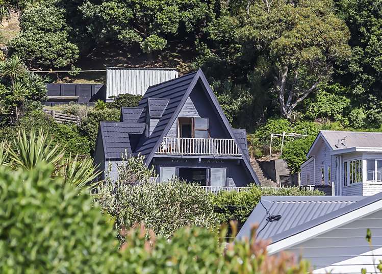 49 Mantell Street Seatoun_17