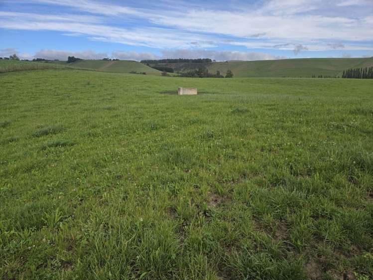 22 Tokarahi-Duntroon Road Tokarahi_19