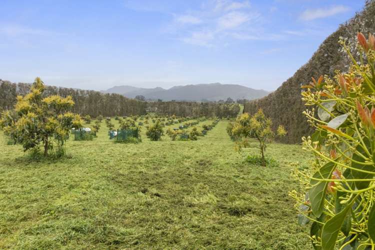 211 Pukekauri Road Waikino_24