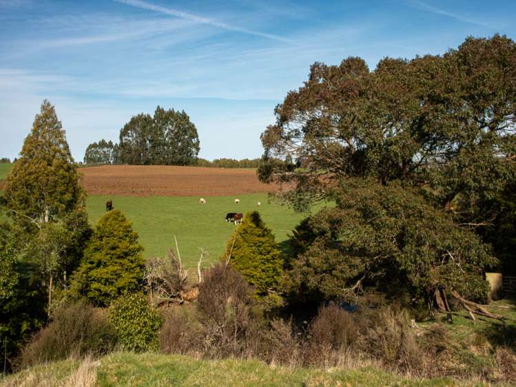 State Highway 4 Owhango_14