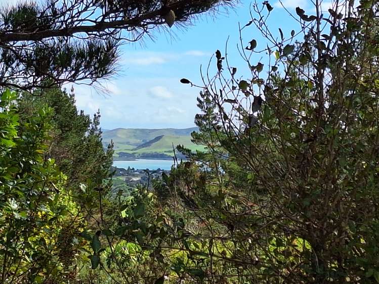Houses for sale in Maungaturoto, Kaipara