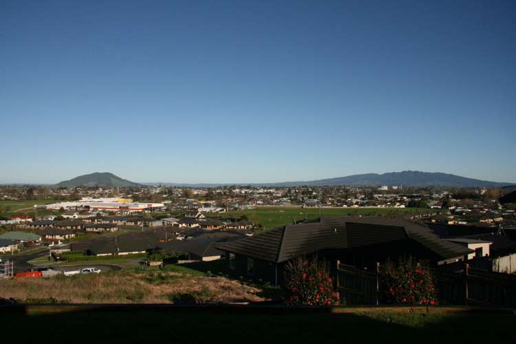 347 Picquet Hill Road Te Awamutu_5