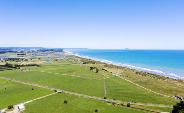 30 Snell Road Opotiki Coastal_3