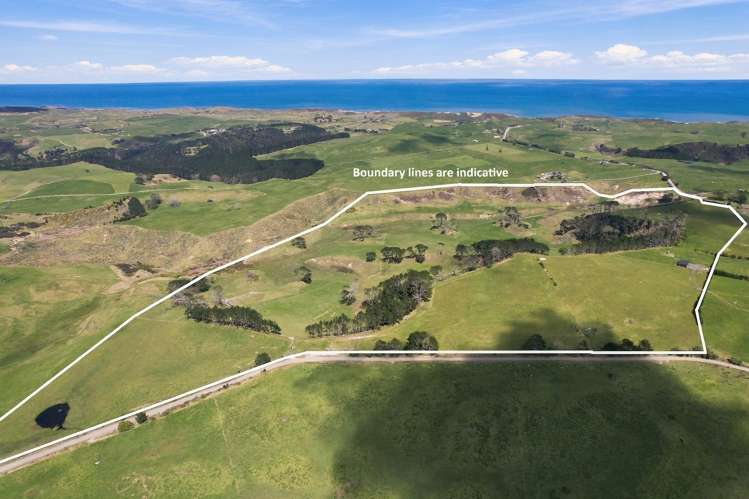 Mount Wesley Coast Road Dargaville_6