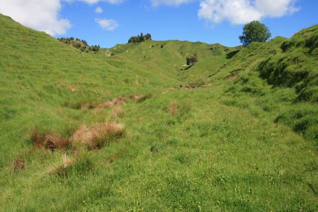 5 Marco Road Ruapehu-King Country Surrounds_4