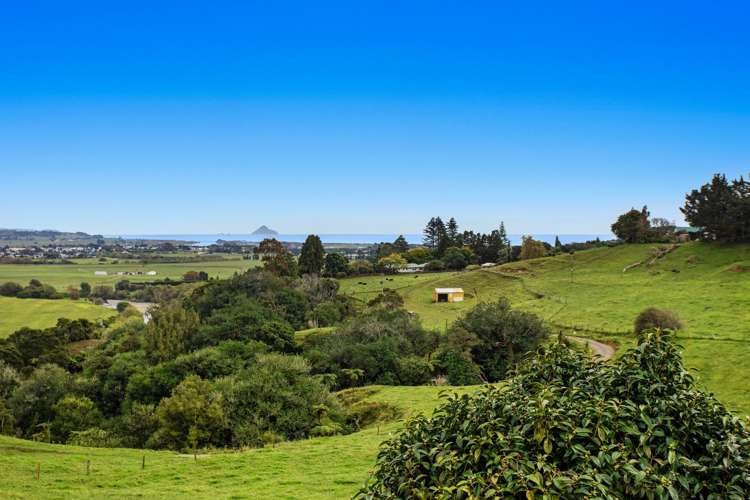 306 Tablelands Road Opotiki Coastal_29