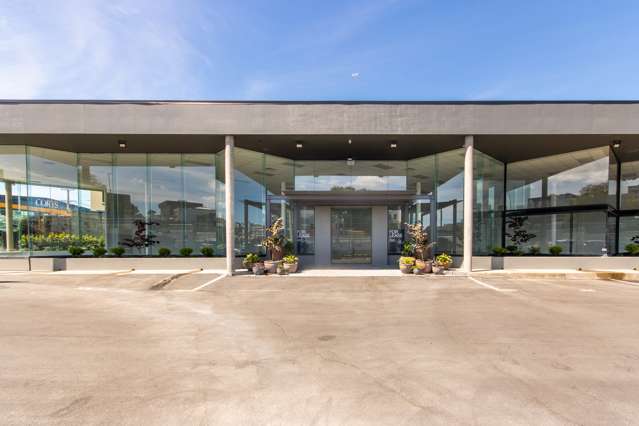 32 Normanby Road Mount Eden_1