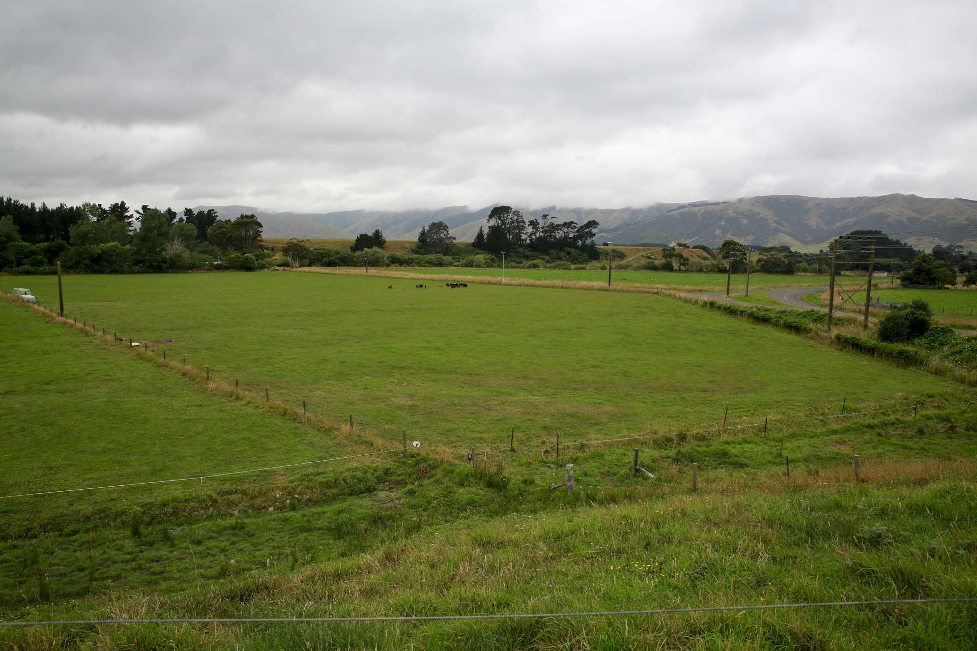 97 Stafford Street Shannon_0