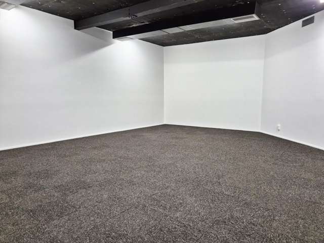 15 Walter Street Te Aro_4