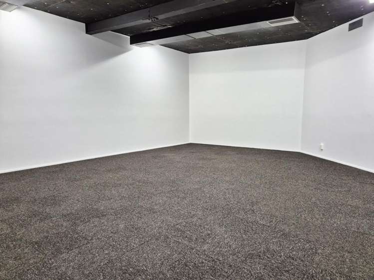 15 Walter Street Te Aro_4