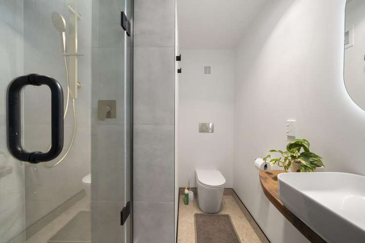 110A Astley Avenue New Lynn_9