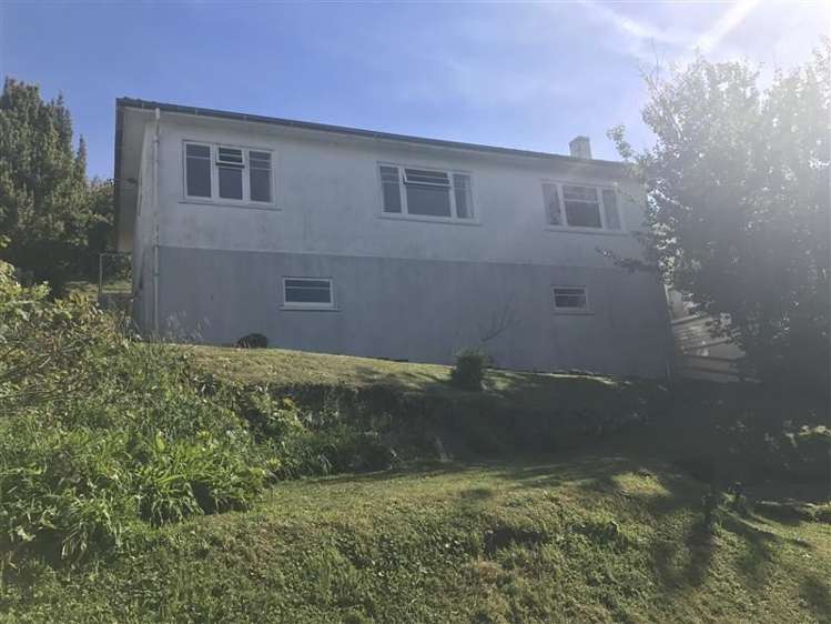 223 Saint Vincent Street Toi Toi_1