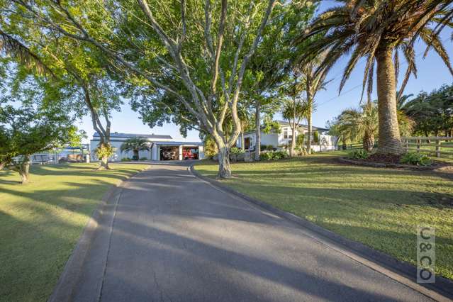 1239 Peak Road Helensville_1