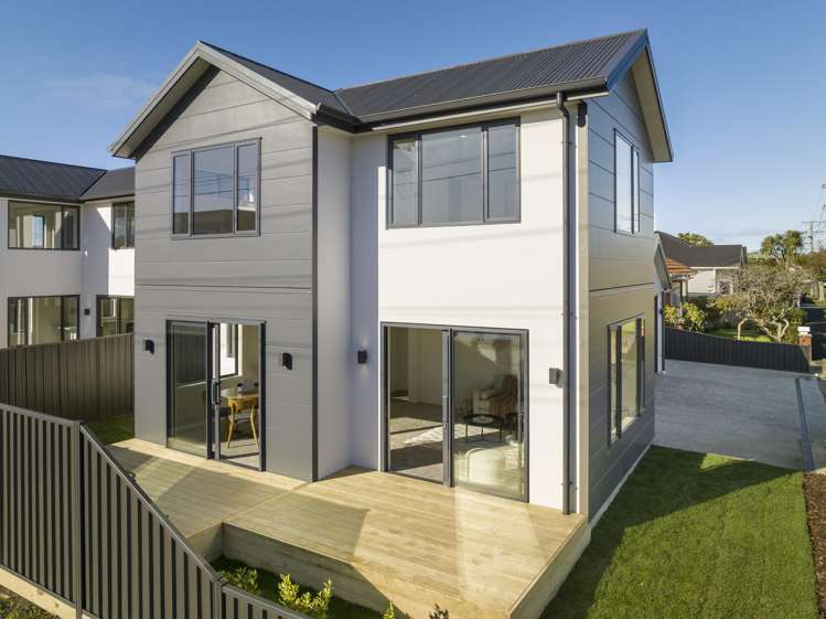 1a Kings Avenue South Dunedin_1