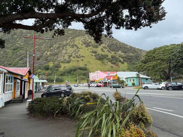 5/8 Wellington Road Paekakariki_4