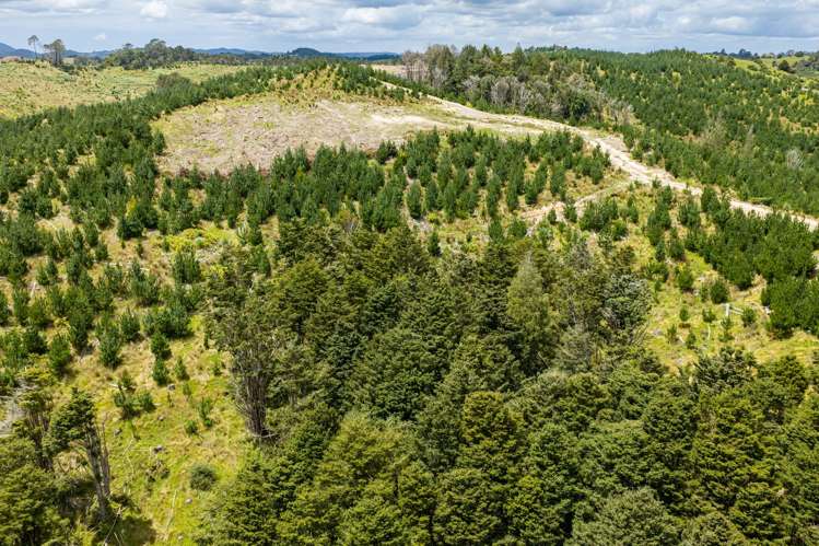 Lot/12 Arcadia Road Paparoa_11