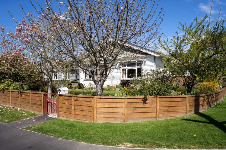 41 Selwyn Street Somerfield_36