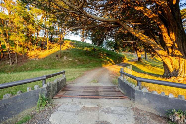 180 Tipapakuku Road_1